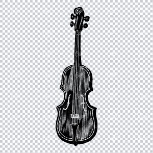 Antique Musical Instrument Line Art Illustration - Violin