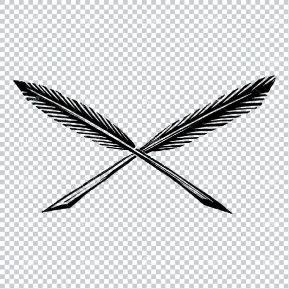 Two Feather Calligraphy Pens Crossing Illustration