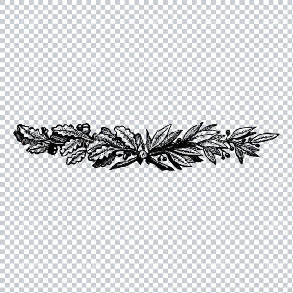 Decorative Floral Design Element - Vintage Hand Drawn Artwork No.2