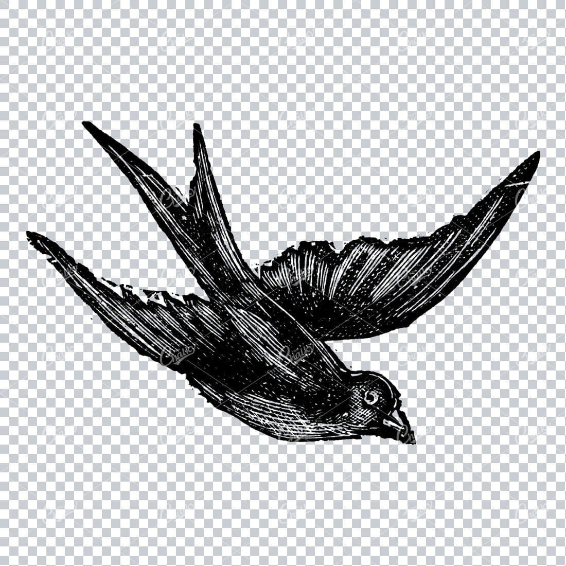 Antique Illustration of a Flying Bird No.1