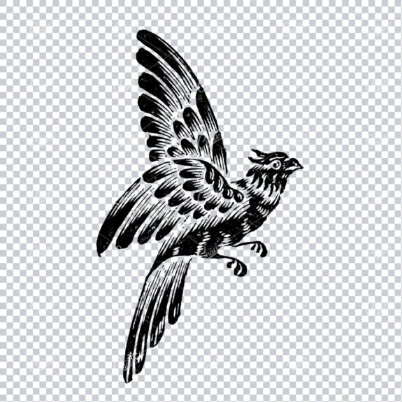 Antique Illustration of a Flying Bird No.2