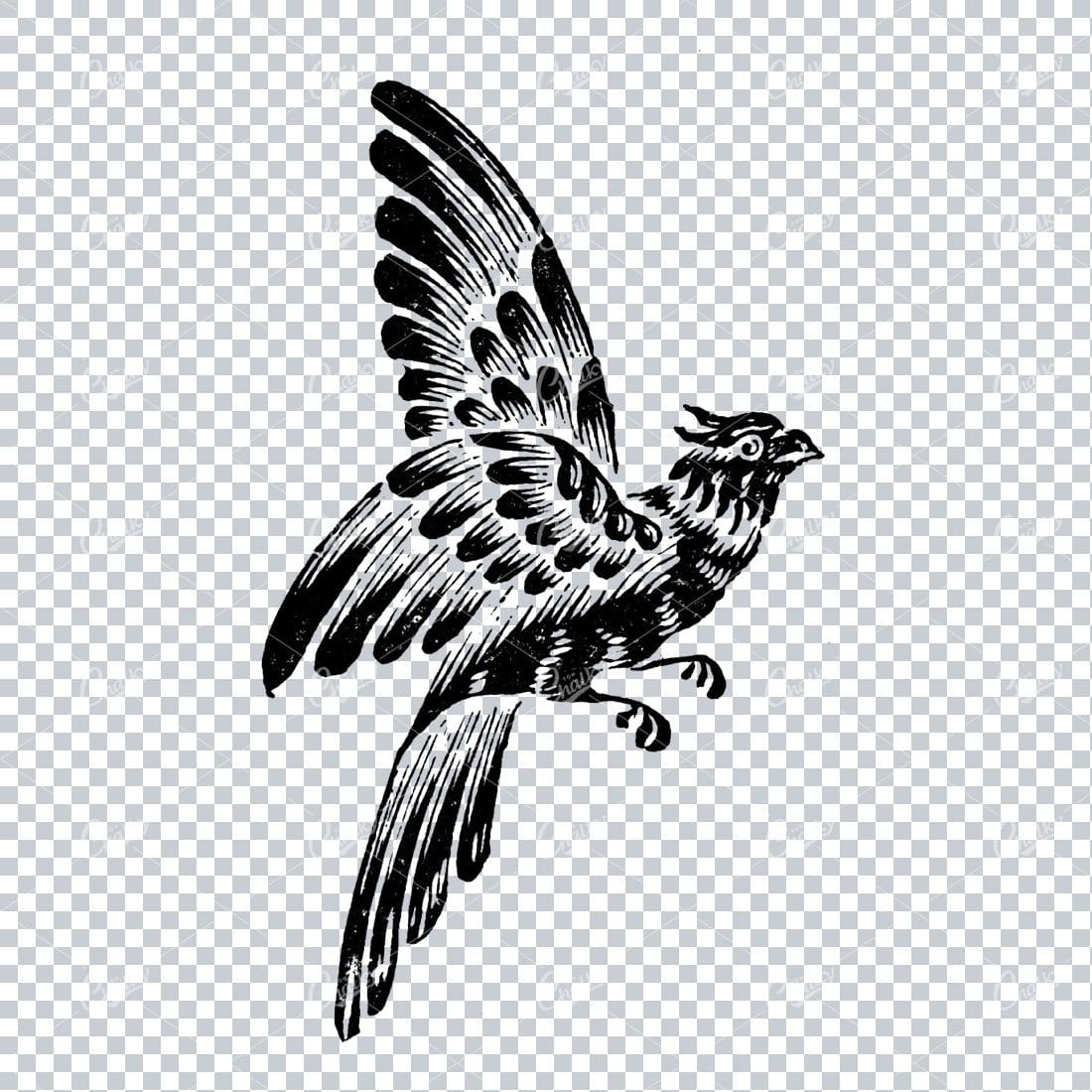 Antique Illustration of a Flying Bird No.2