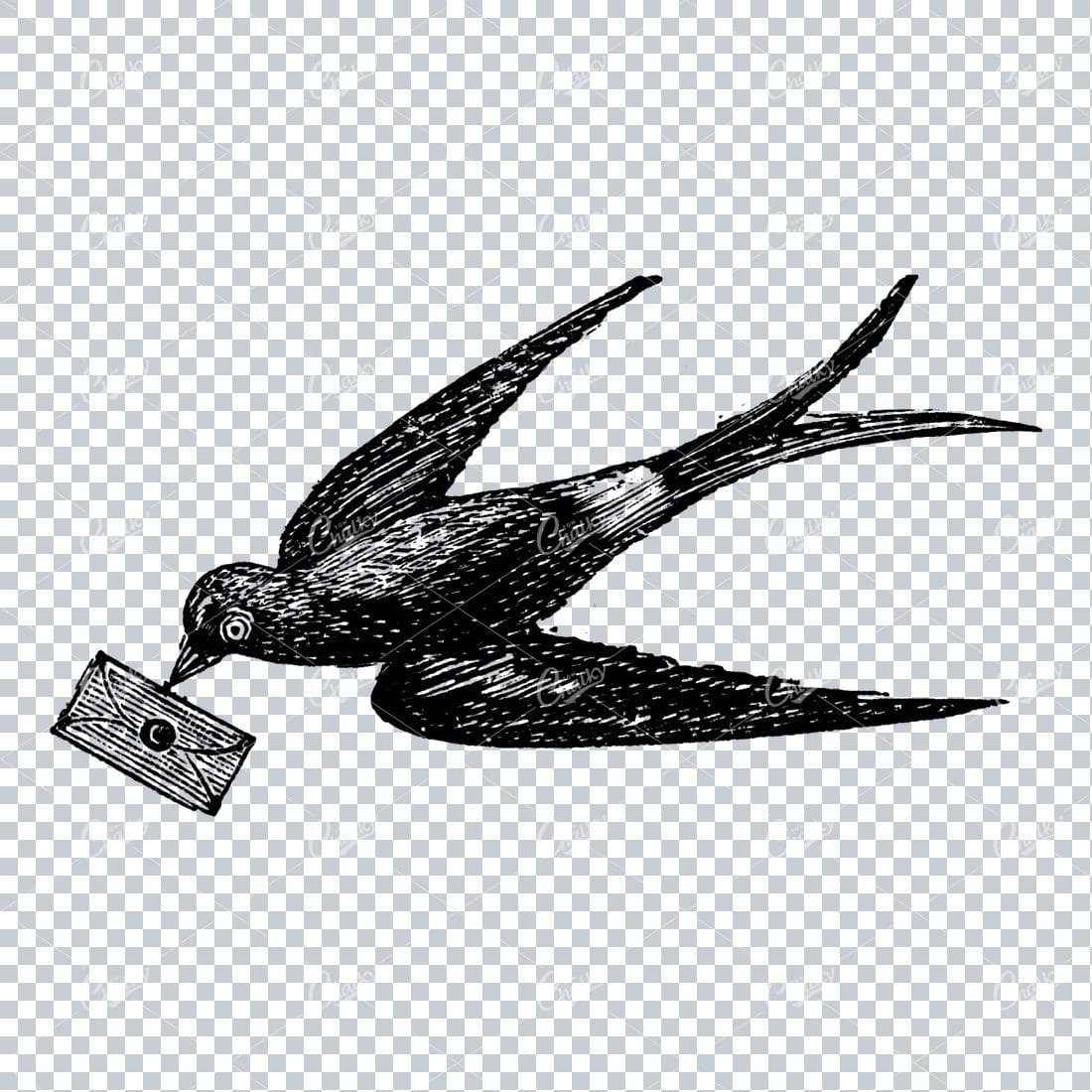 Antique Illustration of a Flying Bird Carrying Mail