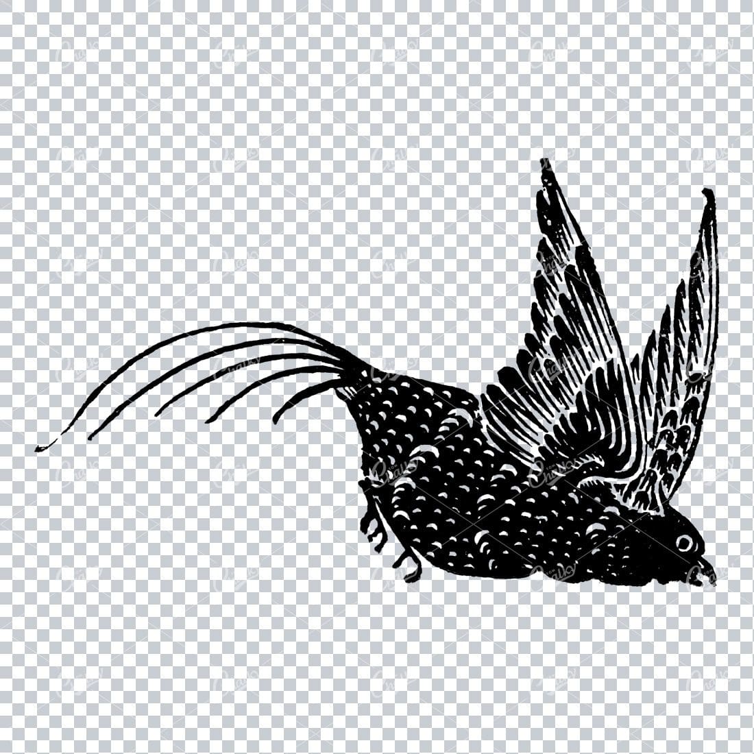 Antique Illustration of a Flying Bird No.4
