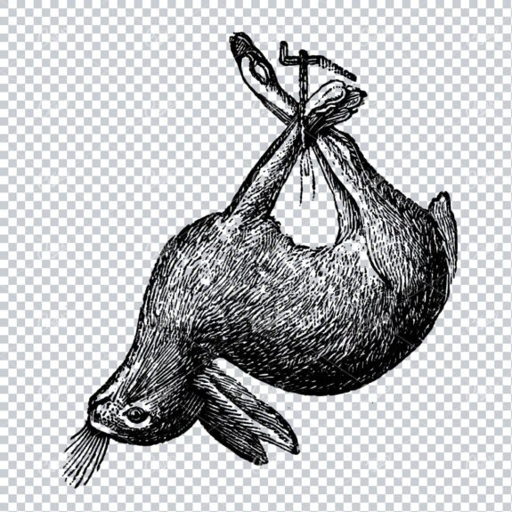 Vintage Illustration of a Hanging Hare - Antique Hunting Artwork