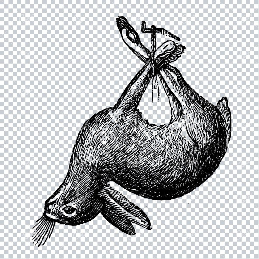 Vintage Illustration of a Hanging Hare - Antique Hunting Artwork