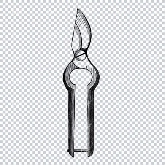 Vintage Gardening Illustration - Plant Snips