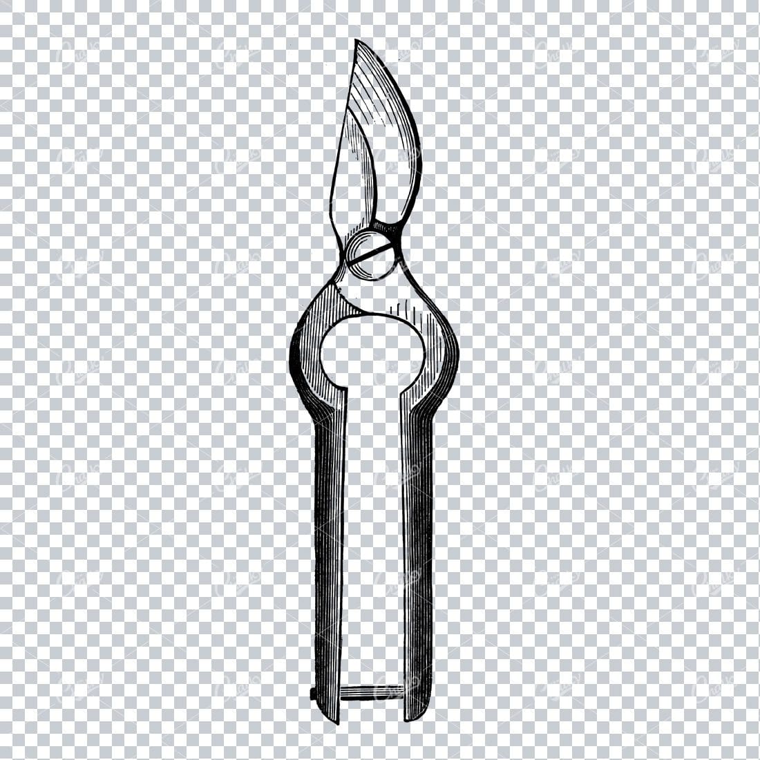 Vintage Gardening Illustration - Plant Snips