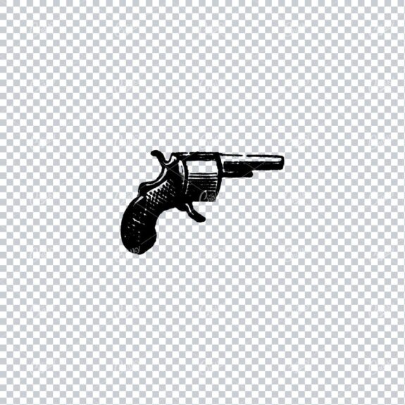 Antique Firearms Illustration of a Gun No.2