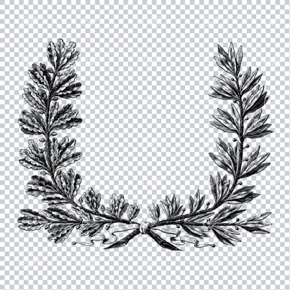 Detailed Drawing of a Laurel Wreath