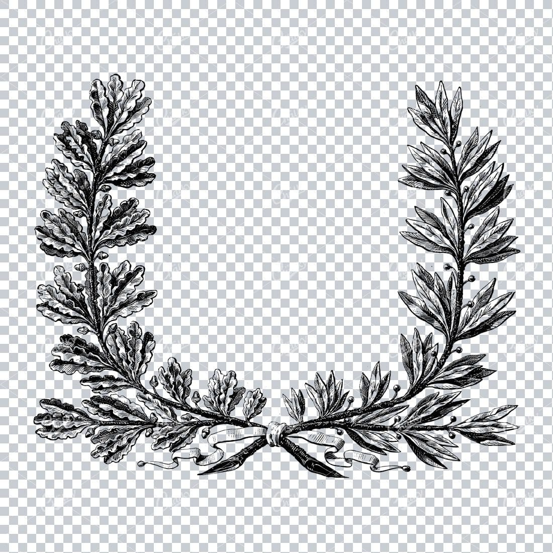 Detailed Drawing of a Laurel Wreath