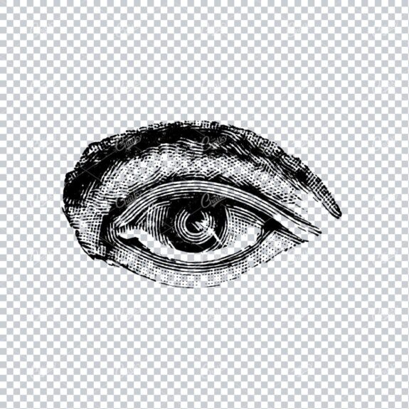 Old Line Art Illustration of the Human Eye No.1