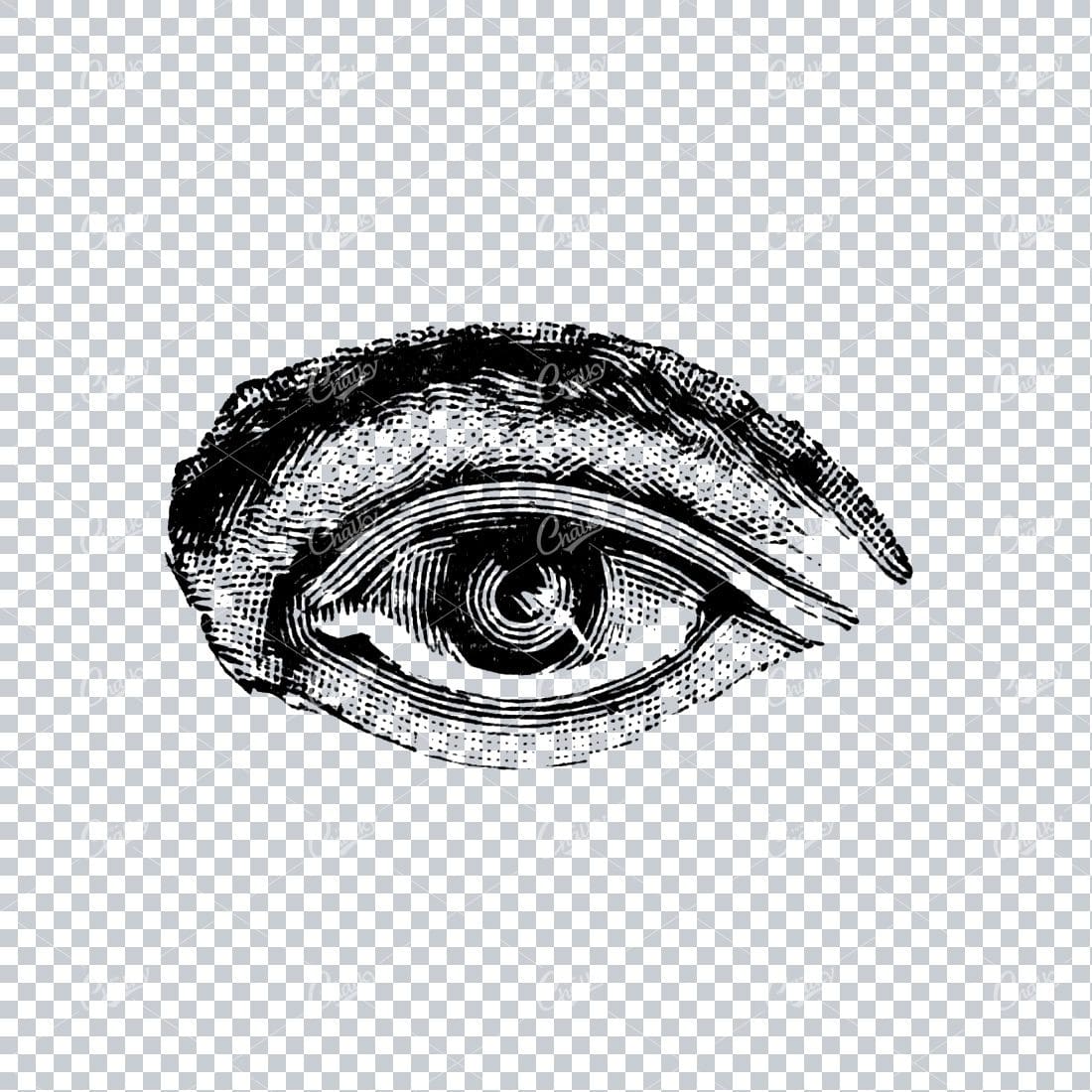 Old Line Art Illustration of the Human Eye No.1