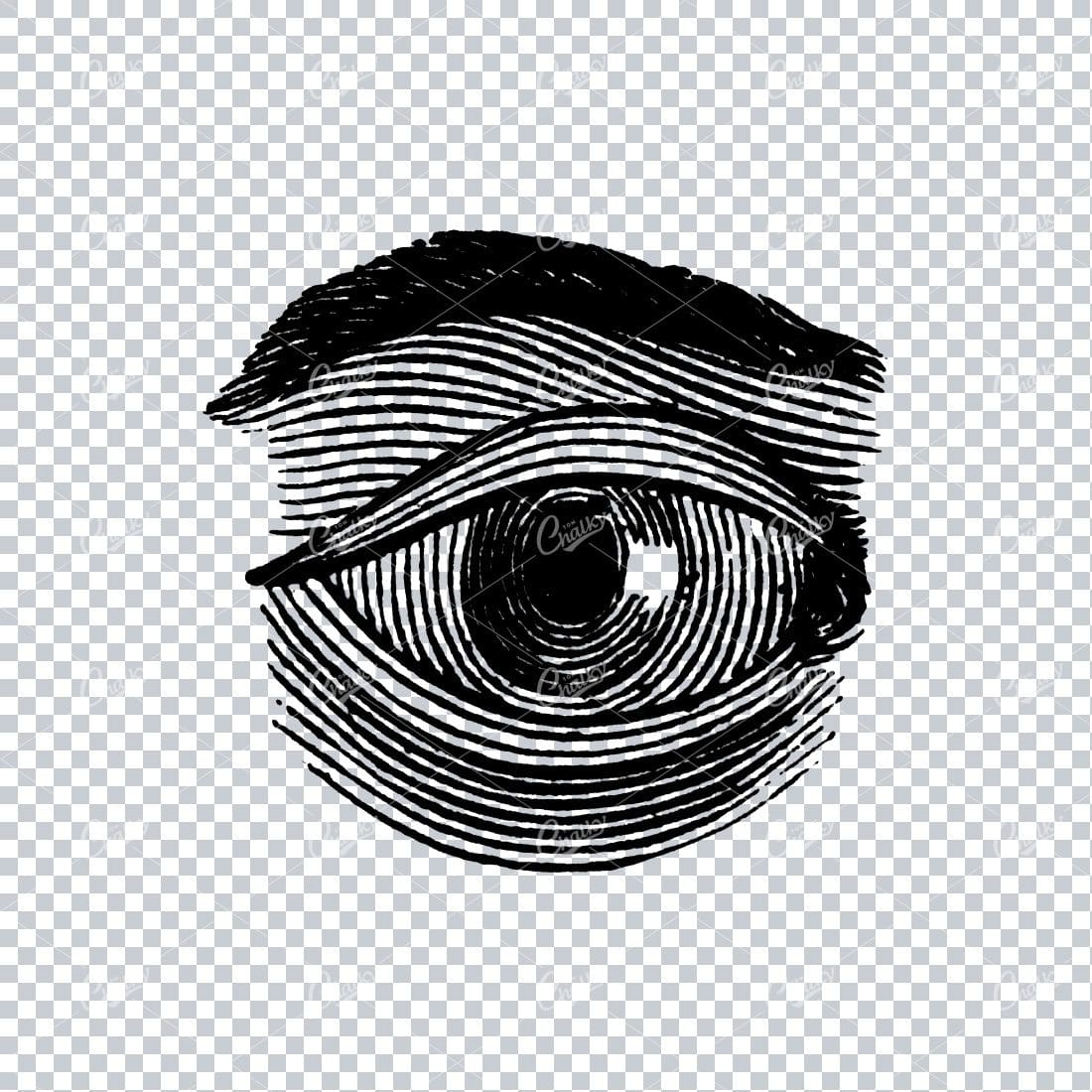 Old Line Art Illustration of the Human Eye No.2