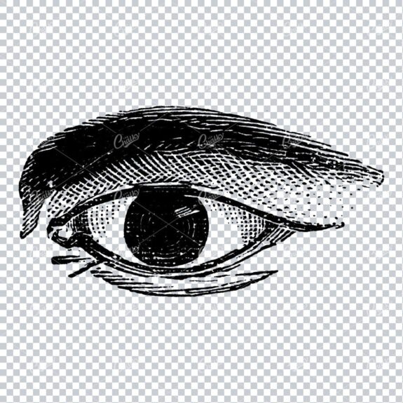 Old Line Art Illustration of the Human Eye No.3