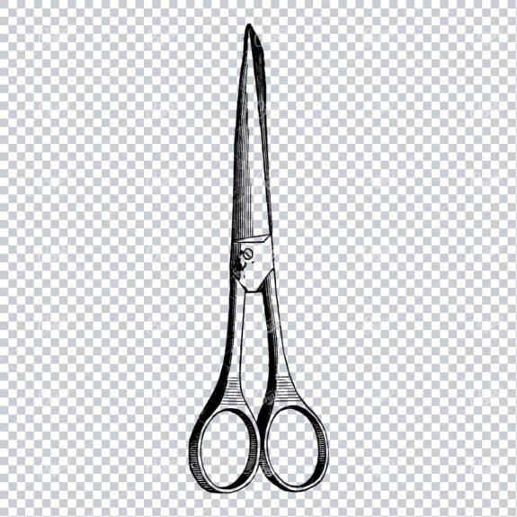 Vintage Engraved Drawing of a Barbers Pair of Scissors