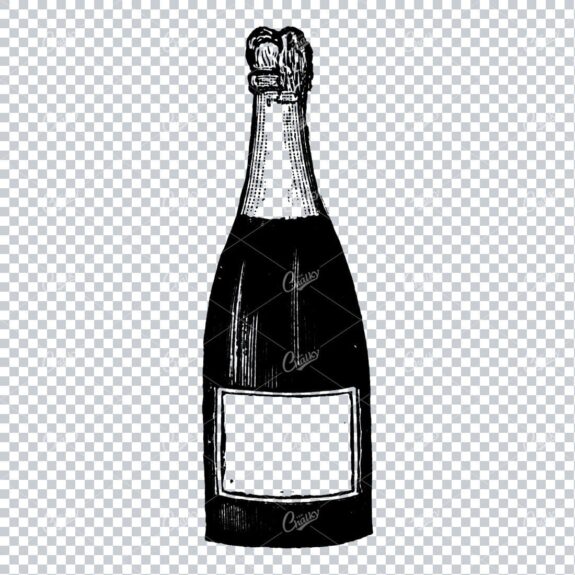 Antique Wine / Champagne Bottle Illustration No.3