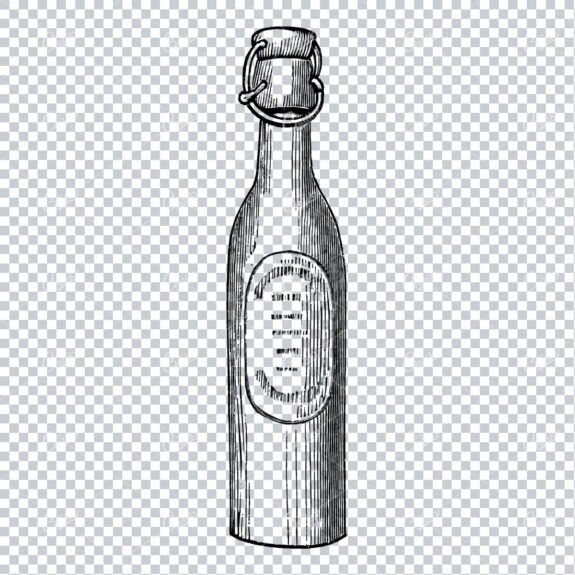 Antique Wine / Champagne Bottle Illustration No.4
