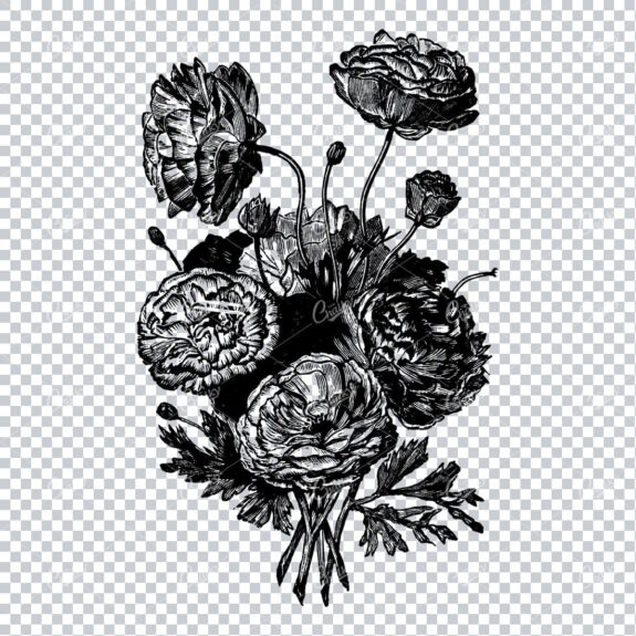 Botanical Line Art Illustration No.3