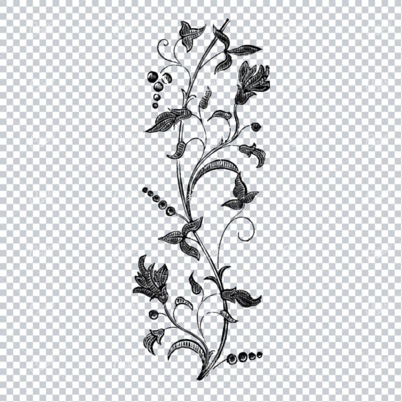 Botanical Line Art Illustration No.6