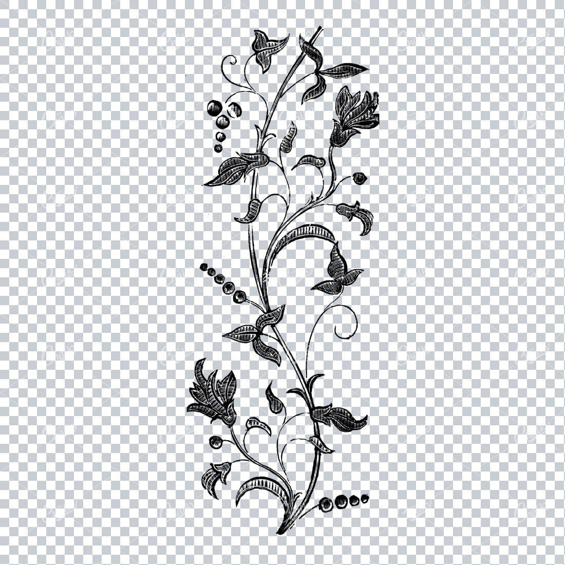 Botanical Line Art Illustration No.6