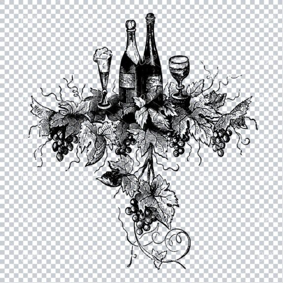 Vintage Illustration of a Selection of Wine Bottles and Glasses With Grape Vines No.1