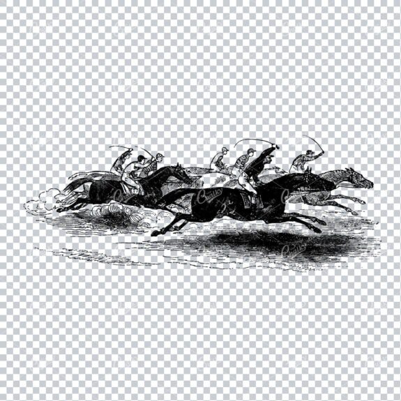 Vintage Horse Riding Illustration - Racing No.1