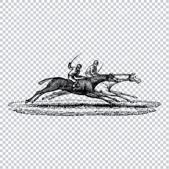 Vintage Horse Riding Illustration - Racing No.2