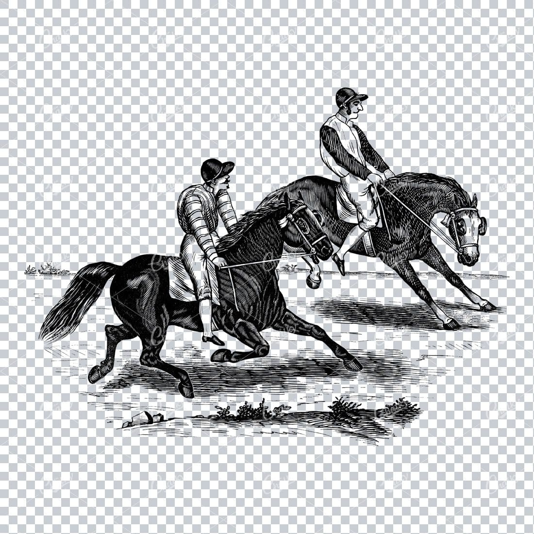 Vintage Horse Riding Illustration - Racing No.3