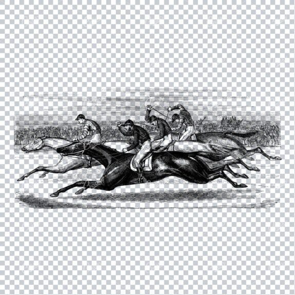 Vintage Horse Riding Illustration - Racing No.4