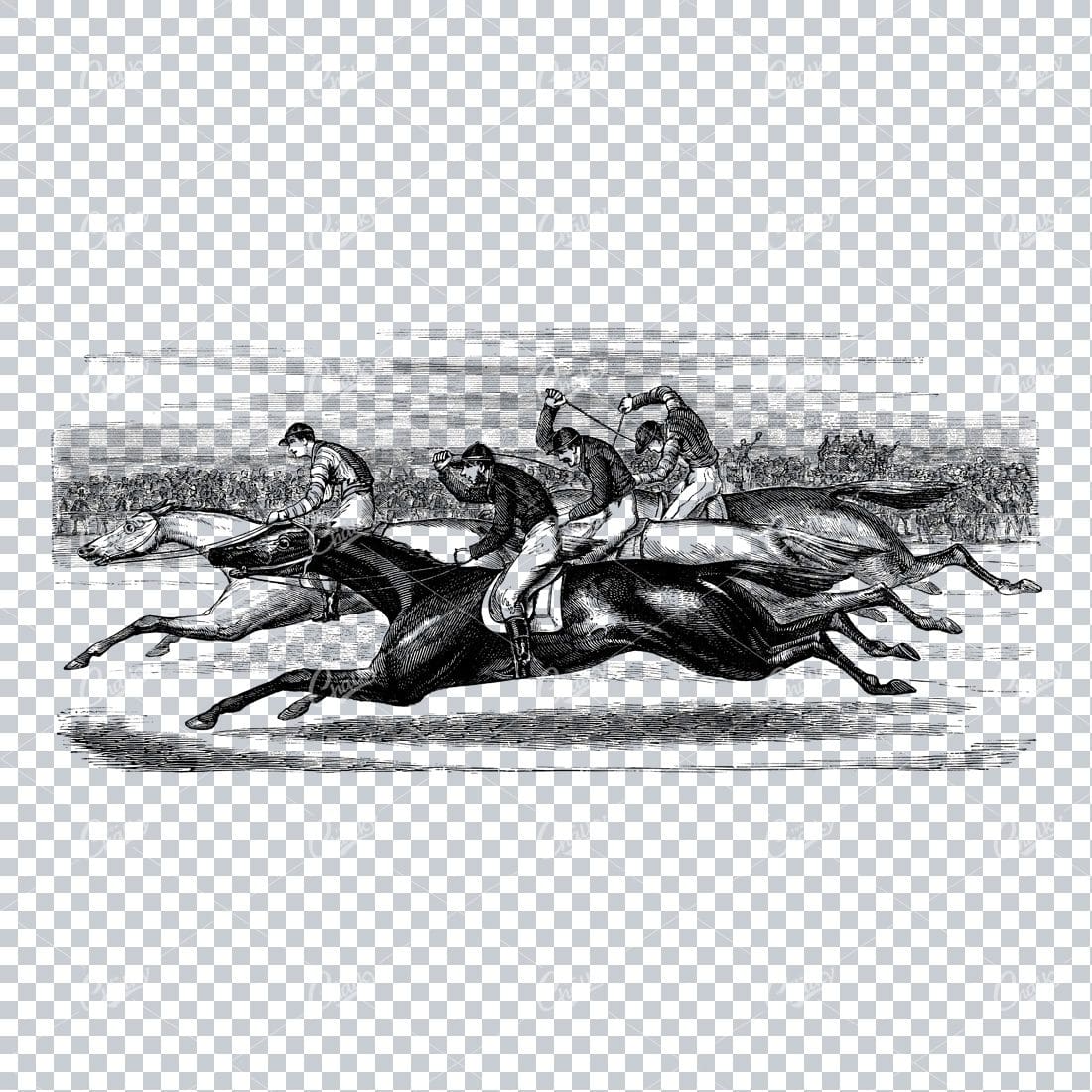 Vintage Horse Riding Illustration - Racing No.4