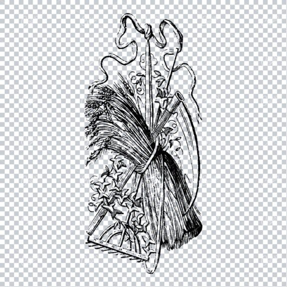 Vintage Farming Illustration - A Bunch of Wheat with Rake and Scythe