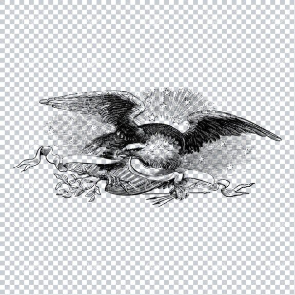 Vintage American Eagle Illustration No.1