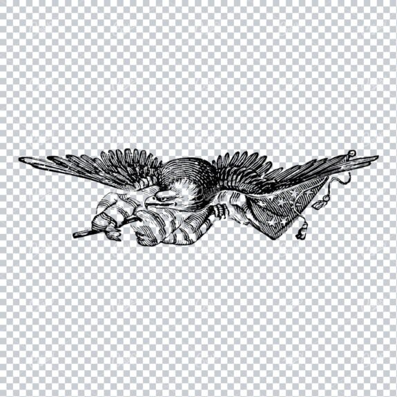Vintage American Eagle Illustration No.2