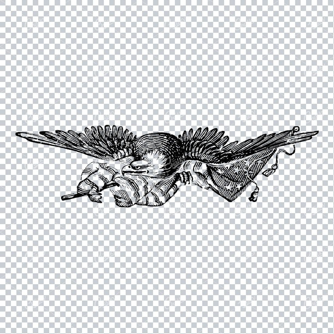 Vintage American Eagle Illustration No.2