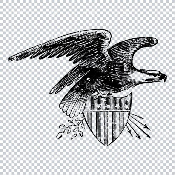 Vintage American Eagle Illustration No.3