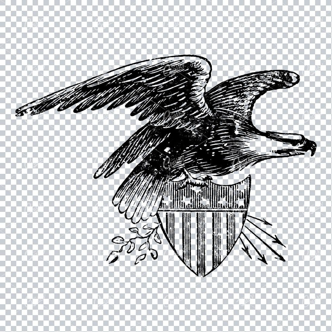 Vintage American Eagle Illustration No.3