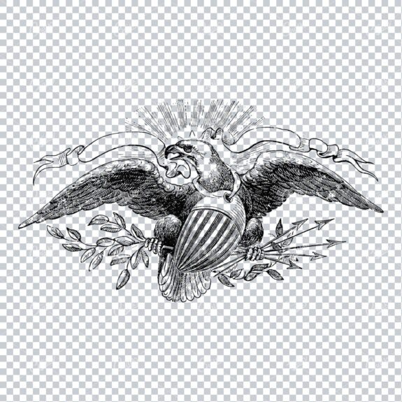 Vintage American Eagle Illustration No.4