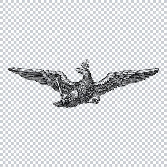 Vintage Heraldic Crowned Eagle Illustration Holding Scepter and Orb Jewel No.2