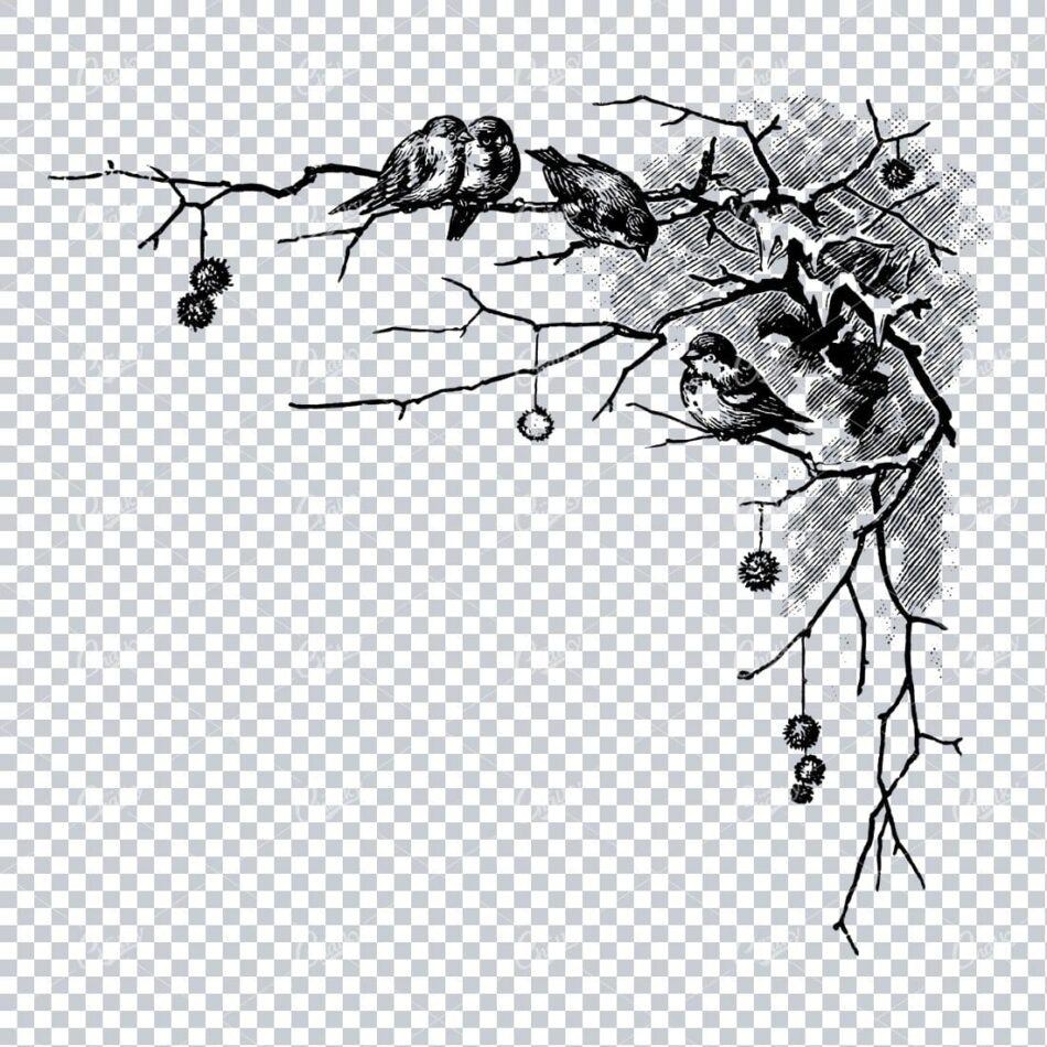 Vintage Christmas Line Art Illustration - Robins in a Tree Corner Piece No.1