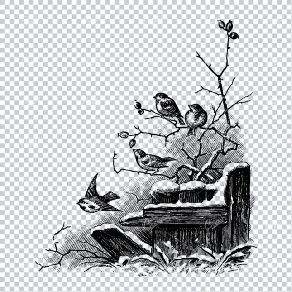 Vintage Christmas Line Art Illustration - Robins in a Tree Corner Piece No.2