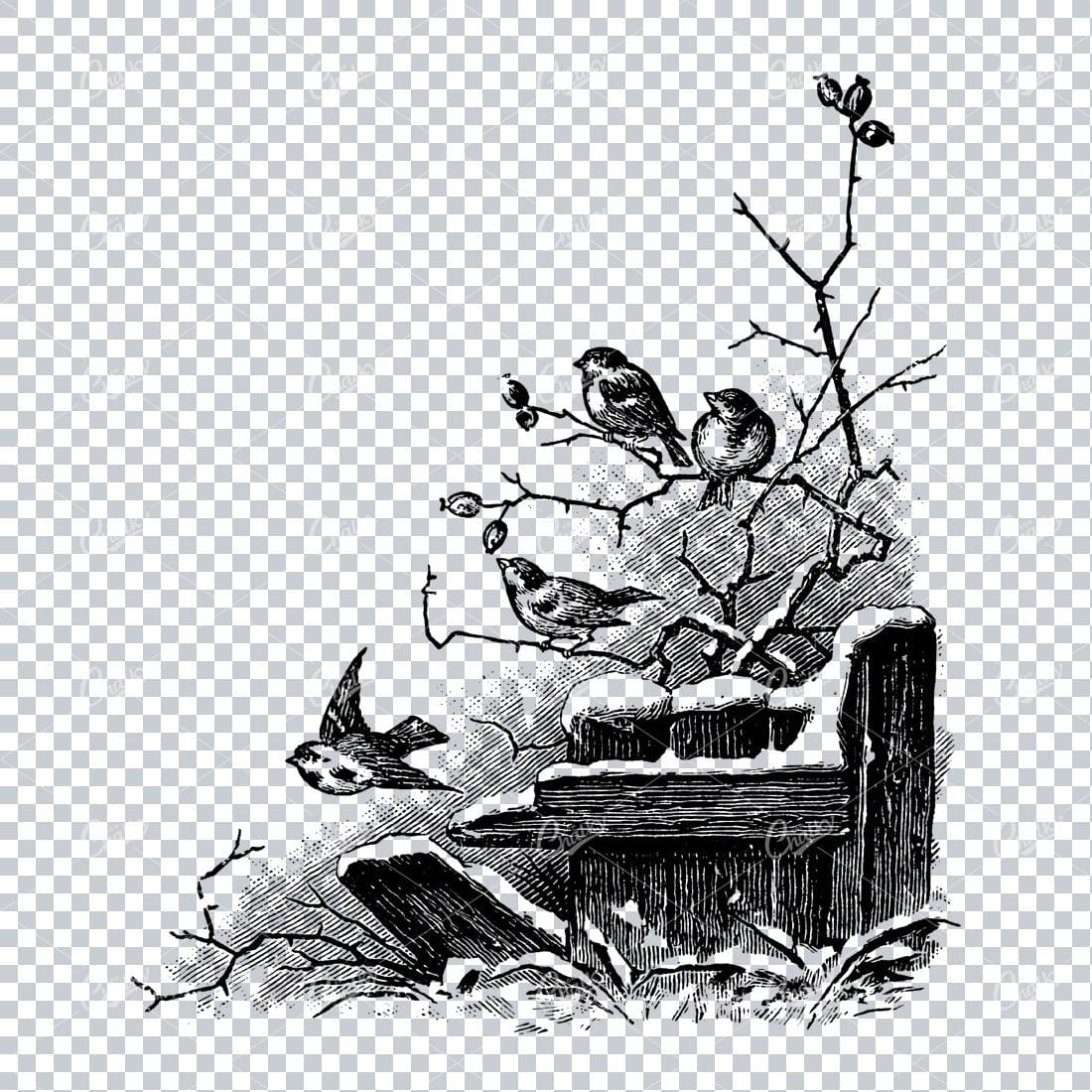 Vintage Christmas Line Art Illustration - Robins in a Tree Corner Piece No.2