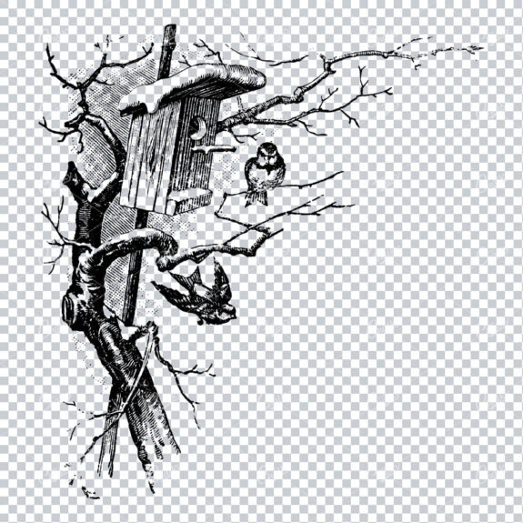 Vintage Christmas Line Art Illustration - Robins in a Tree and Bird House Corner Piece