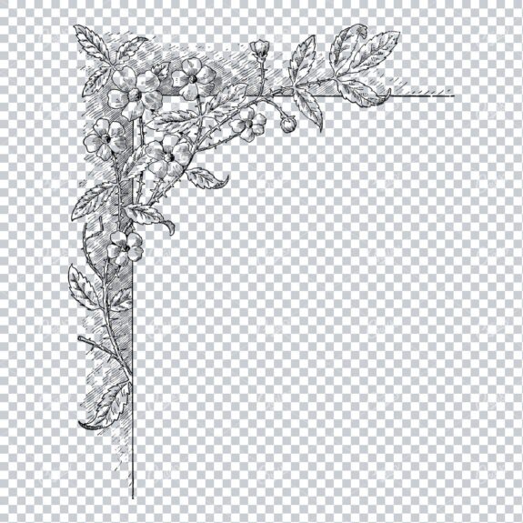 Vintage Botanical Line Art - Decorative Corner Piece with Flowers and Leaves No.1