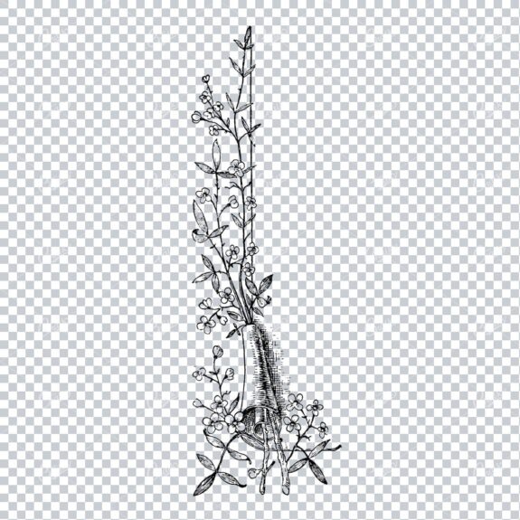 Vintage Botanical Line Art - Decorative Corner Piece with Flowers and Leaves No.4
