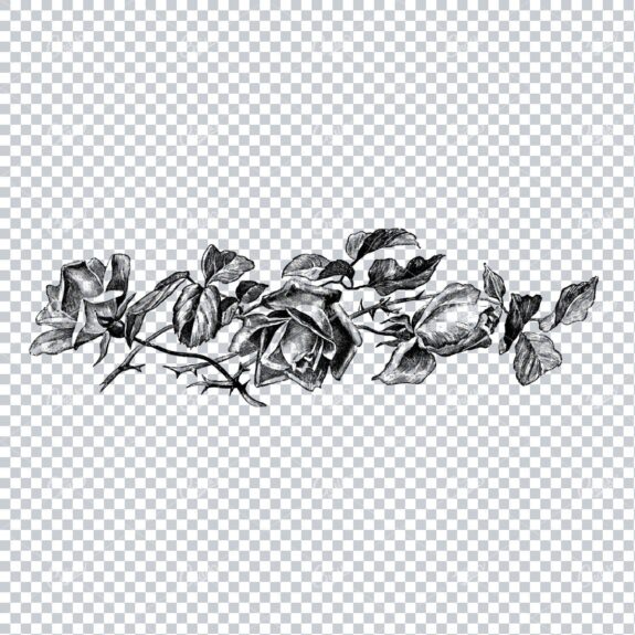 Vintage Botanical Illustration No.2