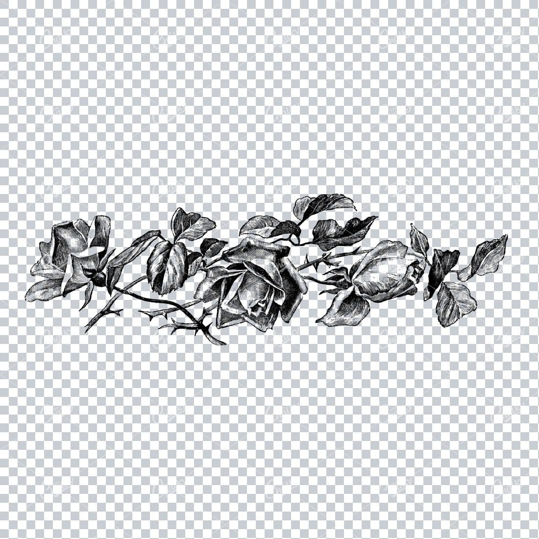 Vintage Botanical Illustration No.2