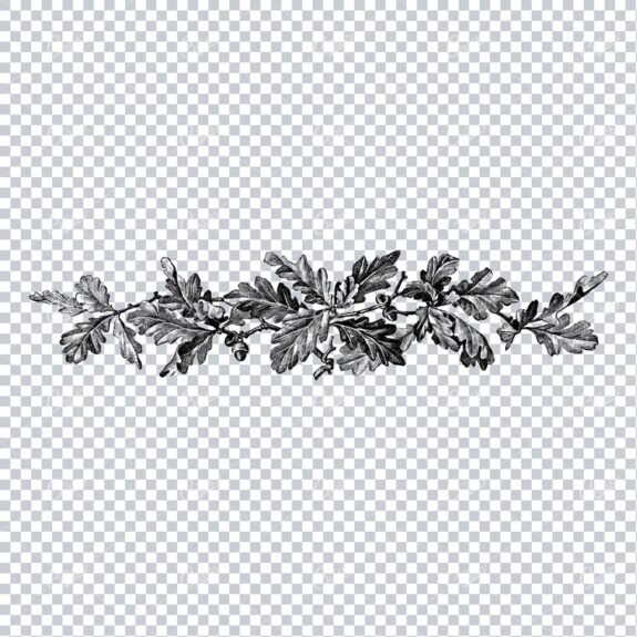 Vintage Botanical Illustration No.3