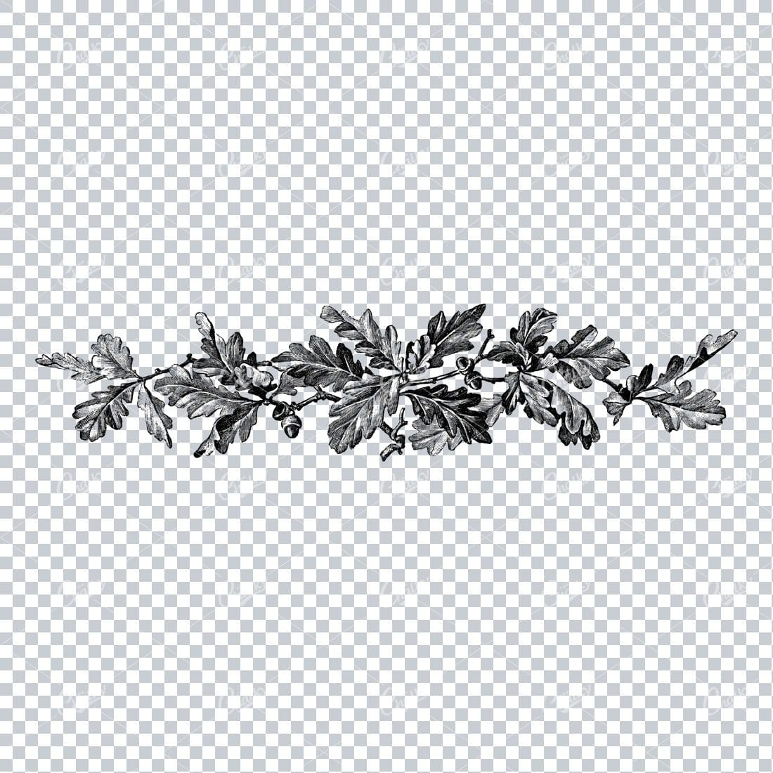 Vintage Botanical Illustration No.3
