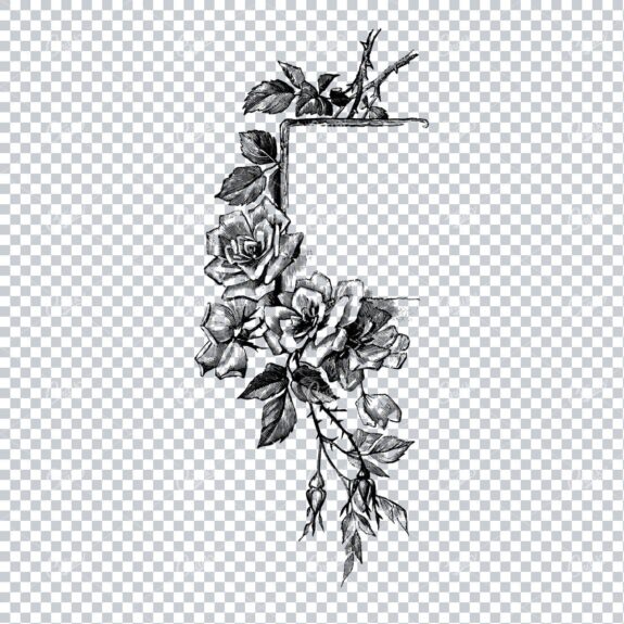 Vintage Botanical Line Art - Decorative Corner Piece with Flowers and Leaves No.6